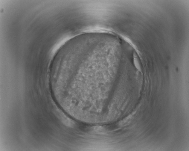 X0000065251463200603131116