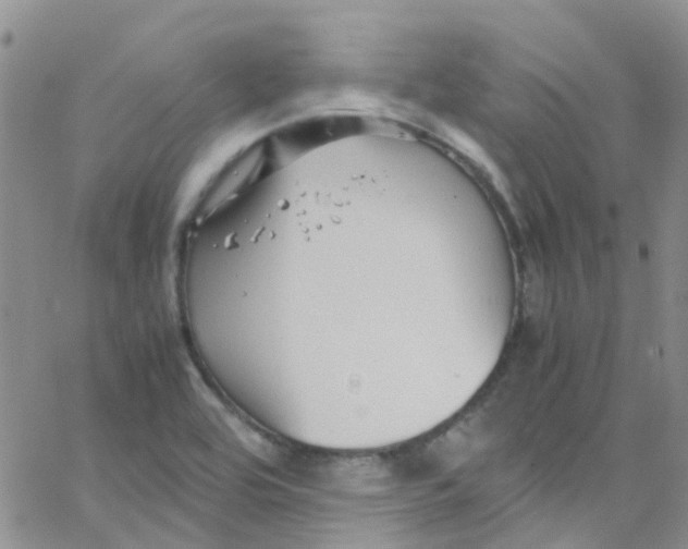 X0000065251464200603131116