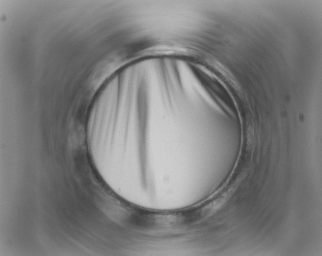 X0000065251465200603131116