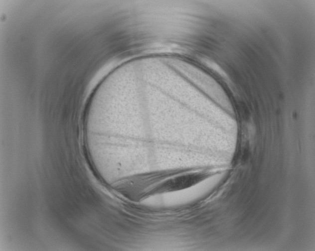 X0000065251467200603131116