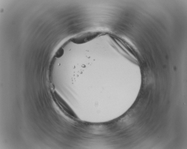 X0000065251468200603131116