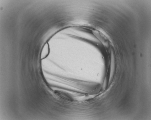 X0000065251469200603131116