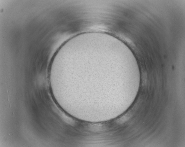 X0000065251470200603131116