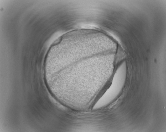 X0000065251471200603131116