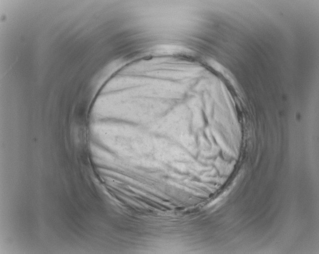 X0000065251473200603131115