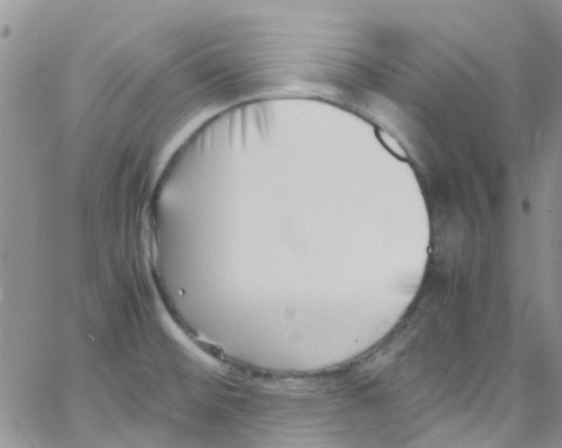 X0000065251476200603131115