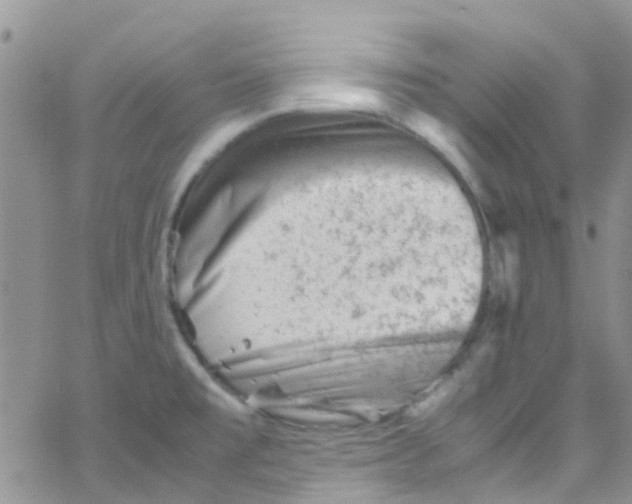 X0000065251477200603131115