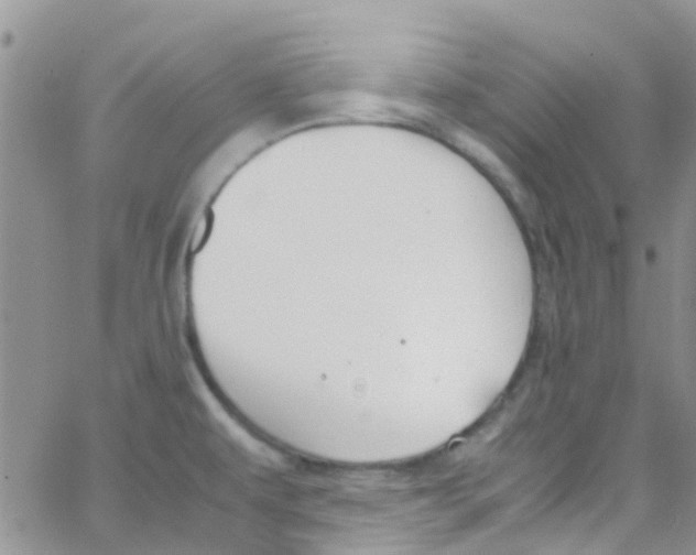 X0000065251479200603131115