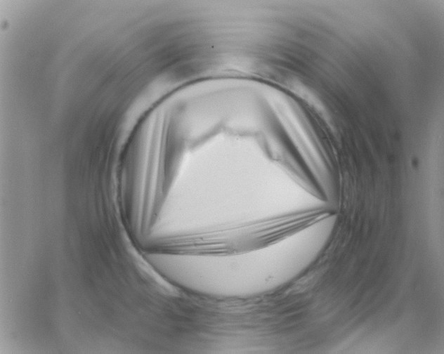 X0000065251480200603131115