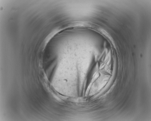 X0000065251481200603131115