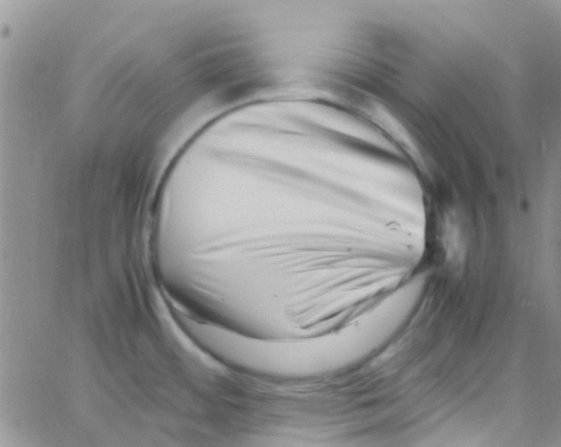 X0000065251484200603131115