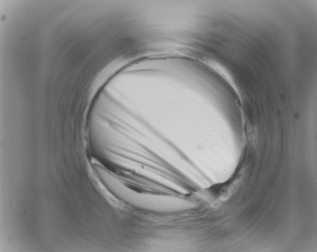 X0000065251485200603131115