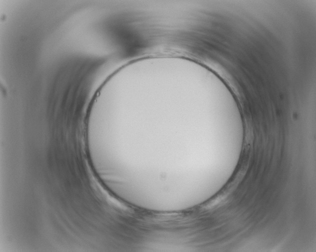 X0000065251486200603131115