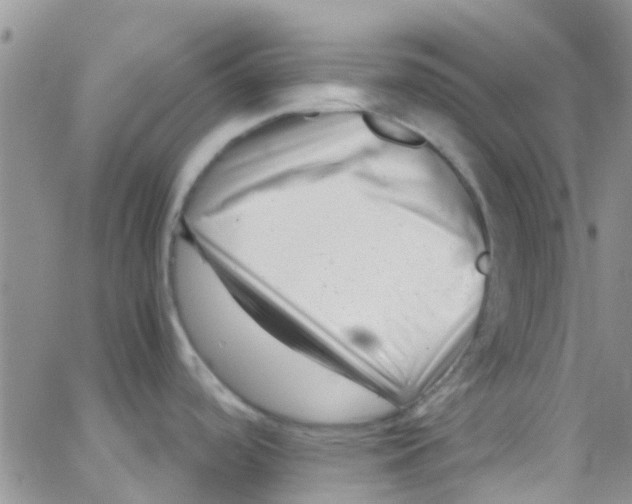 X0000065251488200603131115