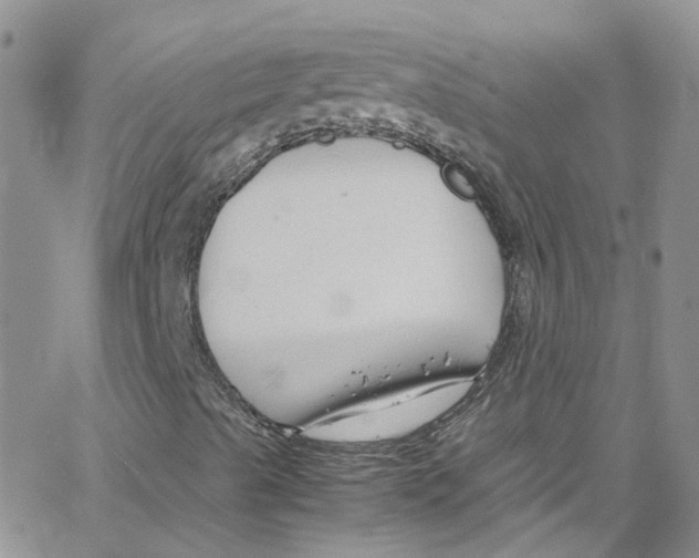 X0000065251489200603131114