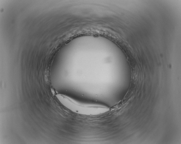 X0000065251490200603131114