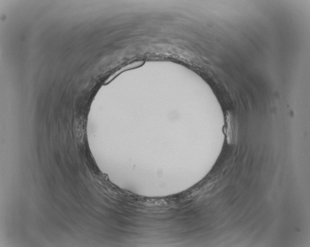 X0000065251491200603131114