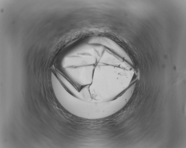 X0000065251492200603131115