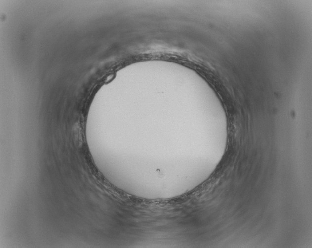 X0000065251493200603131115