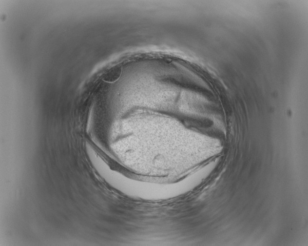 X0000065251494200603131115