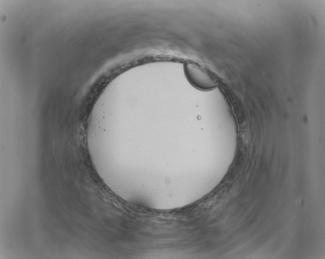 X0000065251495200603131115