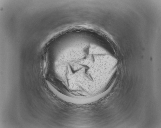 X0000065251496200603131115