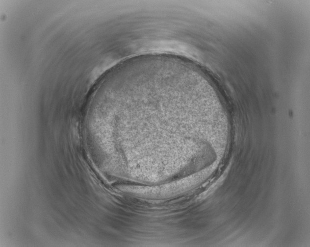 X0000065251497200603131115