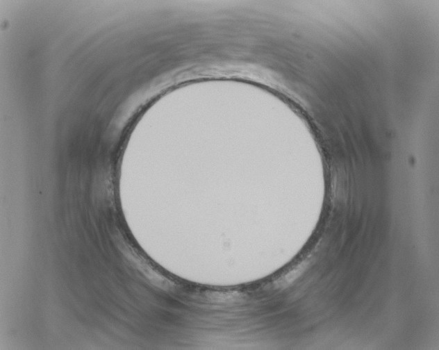 X0000065251498200603131115