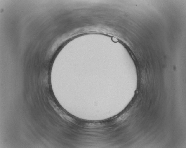 X0000065251499200603131115