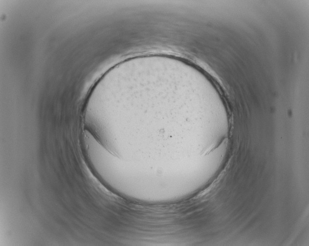 X0000065251500200603131115