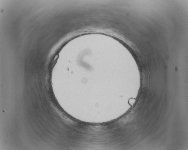 X0000065251502200603131115