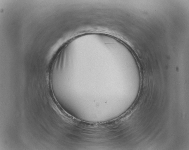 X0000065251503200603131115