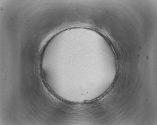 X0000065251504200603131115