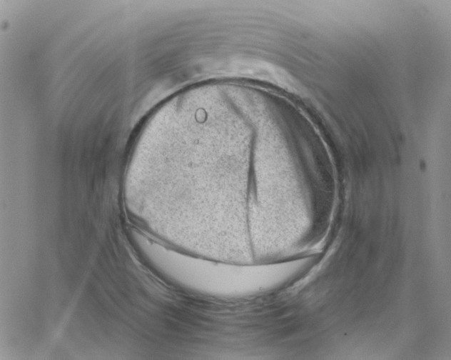 X0000065251505200603131115