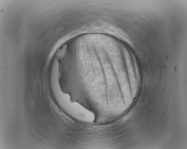 X0000065251506200603131115