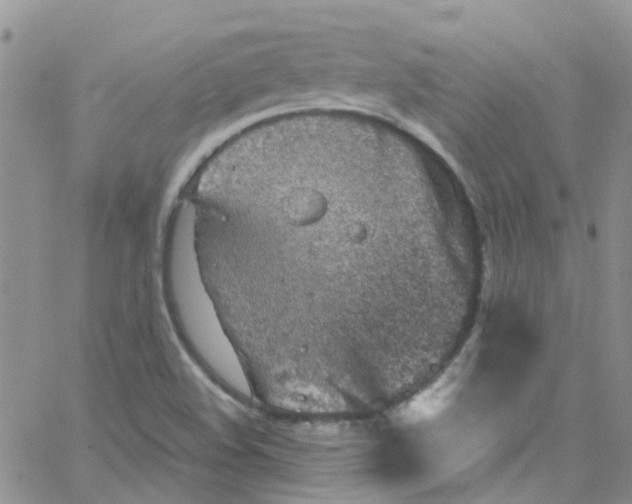 X0000065251508200603131115