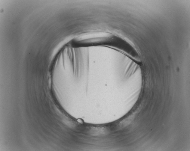 X0000065251509200603131115