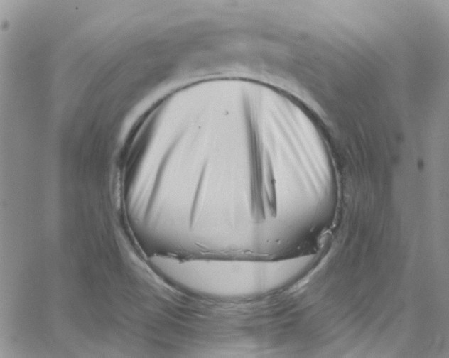 X0000065251510200603131115