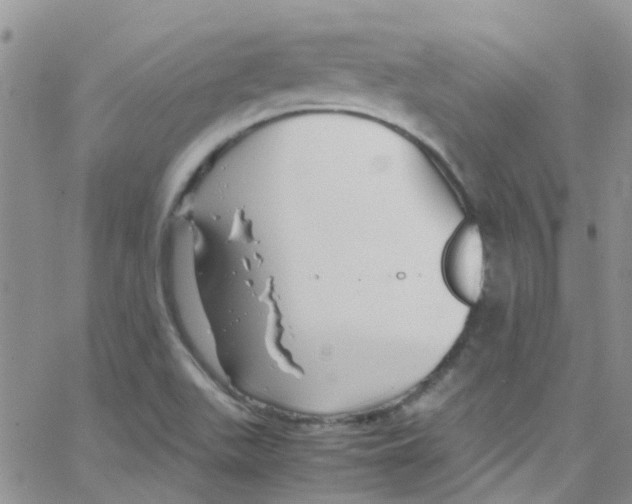 X0000065251511200603131115