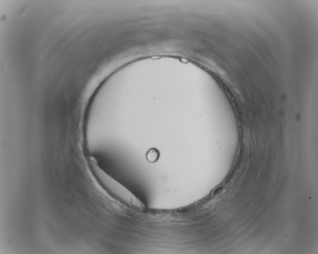 X0000065251512200603131115