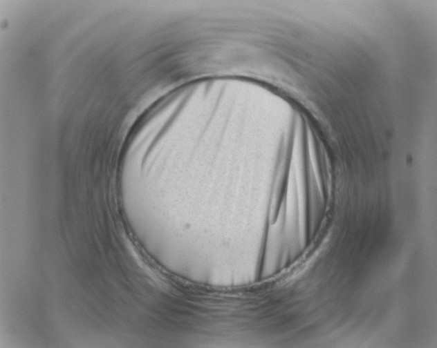 X0000065251513200603131115