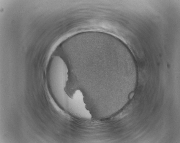 X0000065251515200603131115