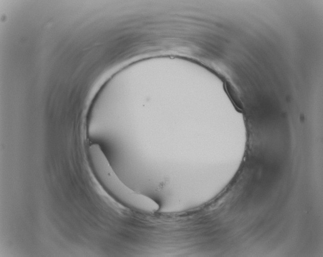 X0000065251516200603131115