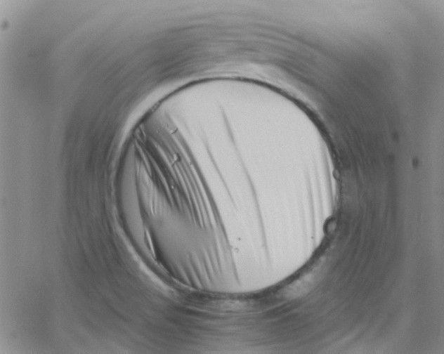 X0000065251517200603131115