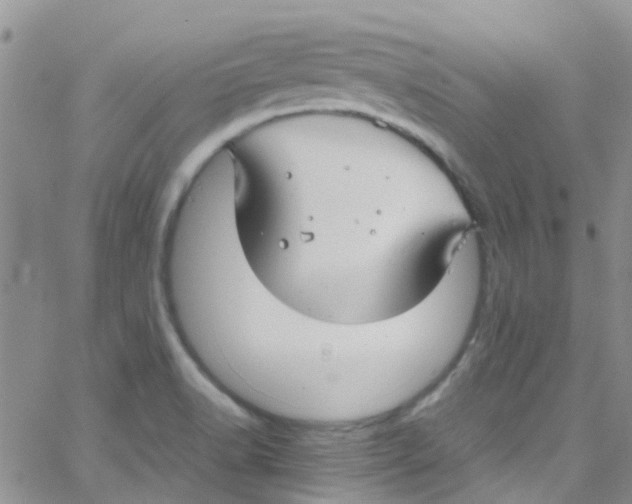 X0000065251518200603131115