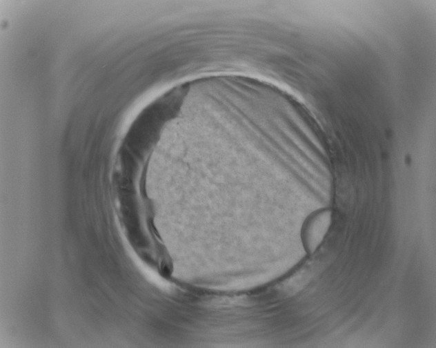 X0000065251519200603131115