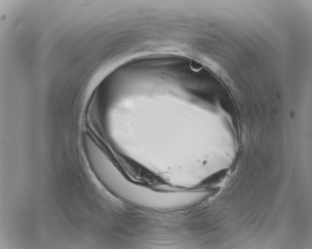 X0000065251520200603131115