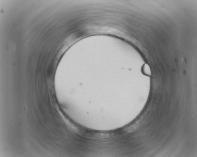 X0000065251521200603131115