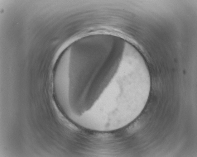 X0000065251522200603131115