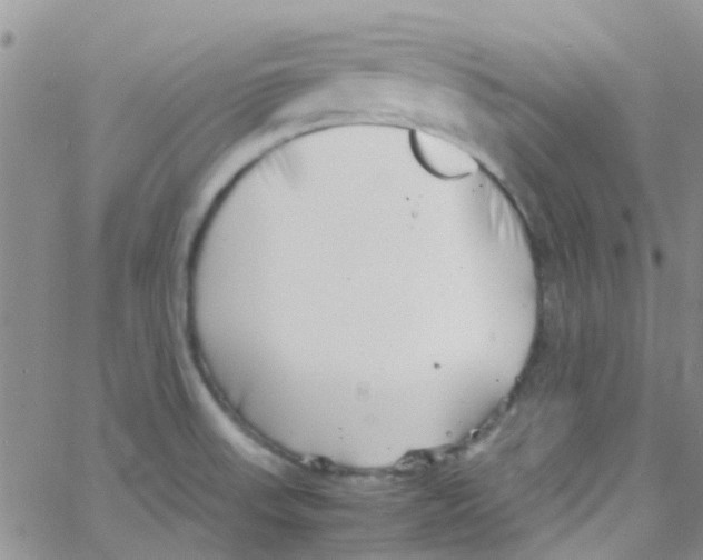 X0000065251523200603131115